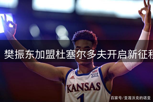 樊振东加盟杜塞尔多夫开启新征程
